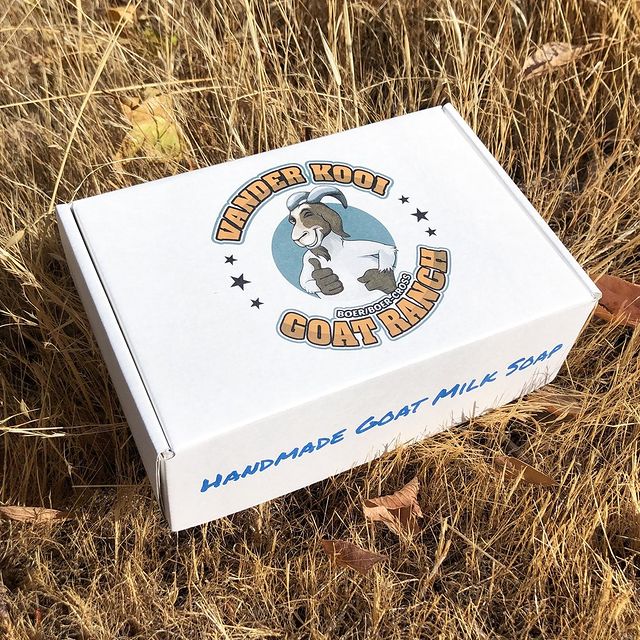 Round logo box with pine trees and 'Adirondack' theme